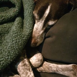 Meet your Posher, Mariko